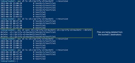 aws cli list s3 buckets example|AWS CLI: S3 `ls` – List Buckets & Objects (Contents).